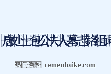唐处士包公夫人墓志铭组词是什么意思的图片